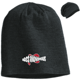 BA SwimLogo Outlined District Slouch Beanie
