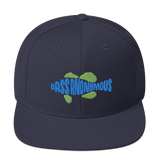 Bass Anonymous Snapback Hat Swim Logo Blue/Green