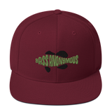 Bass Anonymous Snapback Hat Swim Logo Kiwi/Black