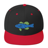 Bass Anonymous Snapback Hat Swim Logo Blue/Green