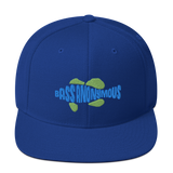 Bass Anonymous Snapback Hat Swim Logo Blue/Green