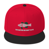 Bass Anonymous Snapback Hat with SwimLogo and Slogan