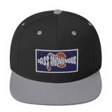 Bass Anonymous Snapback Hat Navy/Red  Patch