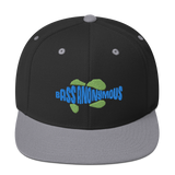 Bass Anonymous Snapback Hat Swim Logo Blue/Green