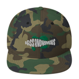 Bass Anonymous Snapback Hat Swim Logo White/Green