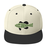 Bass Anonymous Snapback Hat Swim Logo Kiwi/Black