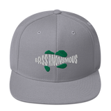 Bass Anonymous Snapback Hat Swim Logo White/Green