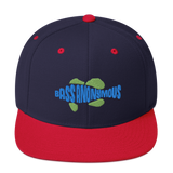 Bass Anonymous Snapback Hat Swim Logo Blue/Green