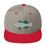 Bass Anonymous Snapback Hat Swim Logo White/Green