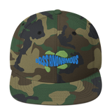 Bass Anonymous Snapback Hat Swim Logo Blue/Green