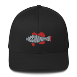 Bass Anonymous Swimlogo  Gray with Red fins and tail Structured Twill Cap