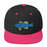 Bass Anonymous Snapback Hat Swim Logo Blue/Green