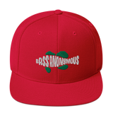 Bass Anonymous Snapback Hat Swim Logo White/Green