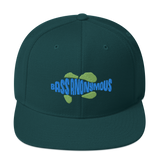 Bass Anonymous Snapback Hat Swim Logo Blue/Green