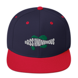 Bass Anonymous Snapback Hat Swim Logo White/Green