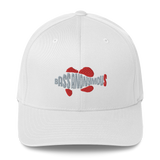 Bass Anonymous Swimlogo  Gray with Red fins and tail Structured Twill Cap