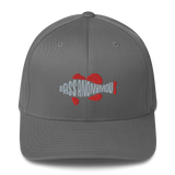 Bass Anonymous Swimlogo  Gray with Red fins and tail Structured Twill Cap