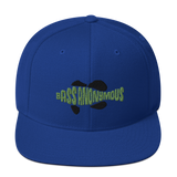 Bass Anonymous Snapback Hat Swim Logo Kiwi/Black