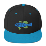 Bass Anonymous Snapback Hat Swim Logo Blue/Green