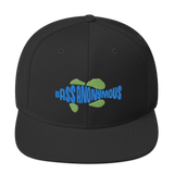 Bass Anonymous Snapback Hat Swim Logo Blue/Green