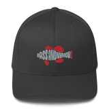 Bass Anonymous Swimlogo  Gray with Red fins and tail Structured Twill Cap
