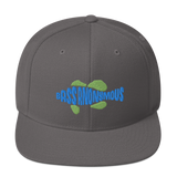 Bass Anonymous Snapback Hat Swim Logo Blue/Green