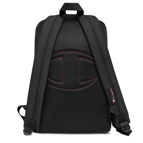 bass backpack laptop Ritter Electric Bag with straps Play setup Adjustable Straps for Comfortable Fit AW Pro wired headphones (Optional) Aux Boss CB-BU10 Utility Guitar Bass