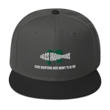 Bass Anonymous Snapback Hat with SwimLogo and Slogan