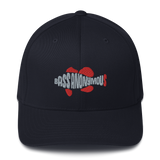 Bass Anonymous Swimlogo  Gray with Red fins and tail Structured Twill Cap