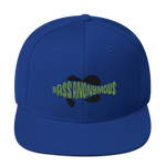 Bass Anonymous Snapback Hat Swim Logo Kiwi/Black