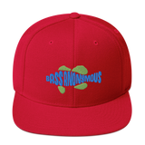 Bass Anonymous Snapback Hat Swim Logo Blue/Green