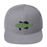 Bass Anonymous Snapback Hat Swim Logo Kiwi/Black