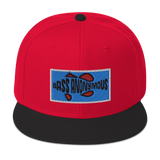 Bass Anonymous Snapback Hat Aqua/Black/Red